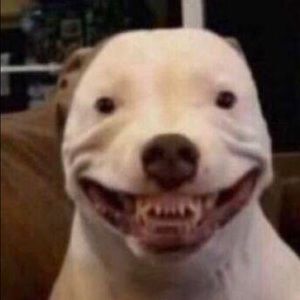 Meet your Posher, Claire